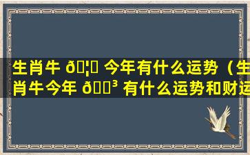 生肖牛 🦉 今年有什么运势（生肖牛今年 🐳 有什么运势和财运）